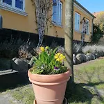 Hotel Femmasteren & 3*