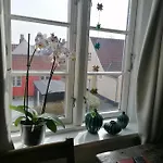 Otel Femmasteren & 3*