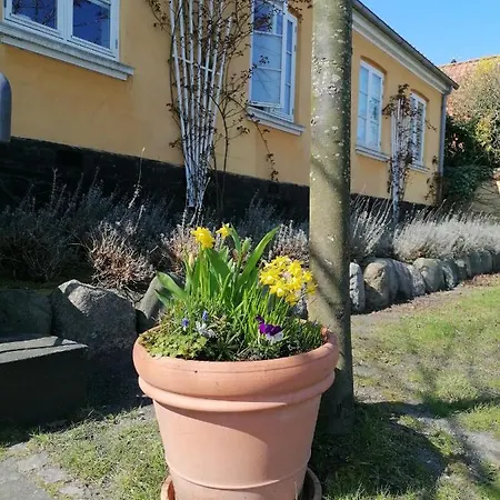 Hotel Femmasteren & 3*