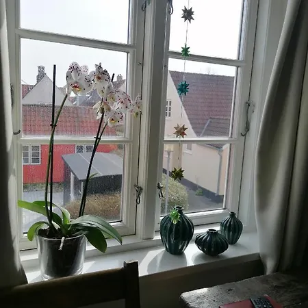 Hotel Femmasteren Hotel&hostel 3*