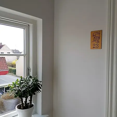 Femmasteren & 3*